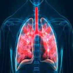 Lung related disease, Difficulty in breathing, Chest pain, Dyspnea, Asthma, COPD, Emphysema, Pulmonary related disease