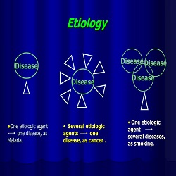 Bodily distress disorder. Cancer-related fatigue. Chronic fatigue. Cognitive fatigue. Episodic fatigue. Exertional Fatigue. Exhaustion. Extreme exhaus