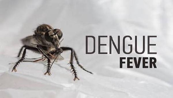Know more about DENGUE